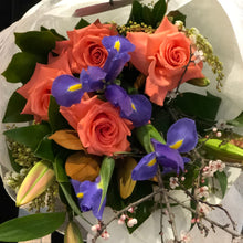 Load image into Gallery viewer, The Bright & Vibrant