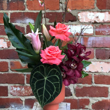 Load image into Gallery viewer, The Dark & Moody