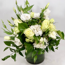 Load image into Gallery viewer, The Stylish Whites