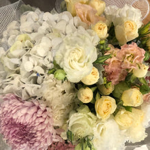 Load image into Gallery viewer, The Stylish Whites