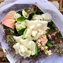 Load image into Gallery viewer, The Stylish Whites